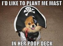 dog-mast-poop-deck-pirate-13028184816.jpg