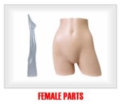 Female_Parts.jpg