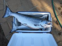 May2012FishB.jpg May2012FishB.jpg