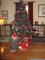 DSC01101.jpg