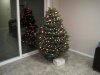 ChristmasTree2013.JPG