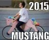 pink pony.jpg