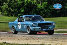 IMG_6781_Large.jpg