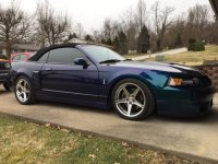 619c2506417a6562bde3224bf00bd695.jpg