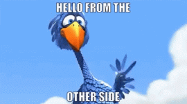 pixar-for-the-birds-waving-hello-meme-q15jxr2ksy9i7fg3-2852034768.gif