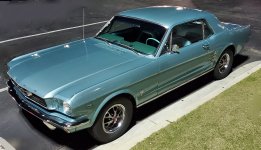 20190523_124212.jpg