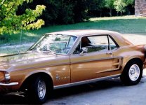 MUSTANG671987.jpg