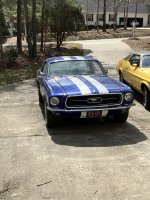 IMG_0295.jpeg