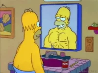 Image result for homer simpson in the mirrir