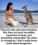 1785199129982.png
