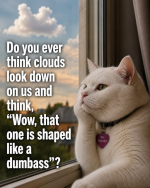 1785233458218.png