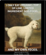 1785244299251.png