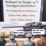 1785245624335.png