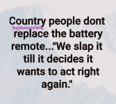 1785332262263.png