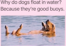 1785332335090.png