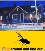 1785332731041.png