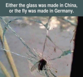 1785333352575.png