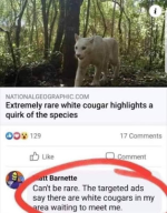 1785333388910.png