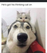 1785359194428.png