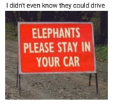 1785359480041.png