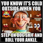1785362496358.png