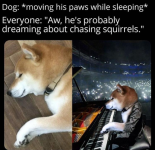 1785362733240.png