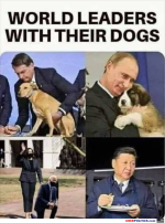 1785363973240.png