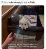 1785364226405.png