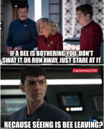 1785373847184.png