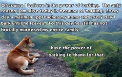 1785417149243.png
