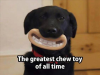 1785417378447.png