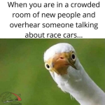 1785417523162.png
