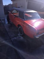 20250420_085607.jpg