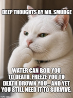 1785494908593.png