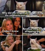1785495293561.png