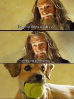 1785504093425.png