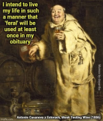1785505354482.png