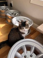 Automotive Wheel System Spoke Hubcap Tread Tire Care Automotive Wheel System Spoke Hubcap Tread Tire Care