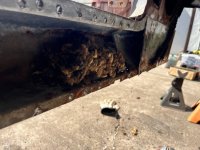 Rust Rust