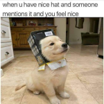 1785583434495.png