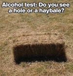 1785676258098.png