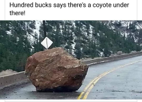1785676454584.png