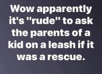 1785676475985.png