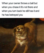 1785677129837.png