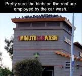 1785678463222.png