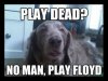 playdead.jpg