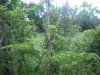 Day3_041.JPG