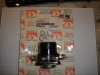 DSC03286.JPG