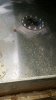 20150702_154643_resized.jpg