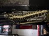 Wrapped H-pipe installed (1).JPG